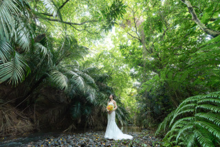 もう6月!石垣島は亜熱帯地域。すごい湿度です。