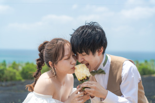 石垣島のパイナップルは最盛期!