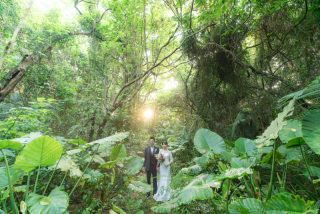 NoLimit !フォトツアーで行けるロケ場所「クワズイモの森」