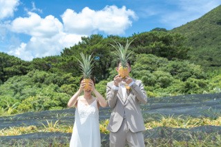 【石垣島限定】2025年パイナップル収穫体験スタートしました!