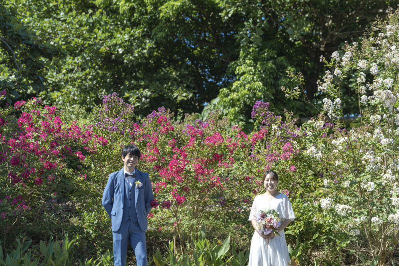 とにかくたくさんの場所で、たくさんの写真と思い出が欲しい方におすすめのプラン！