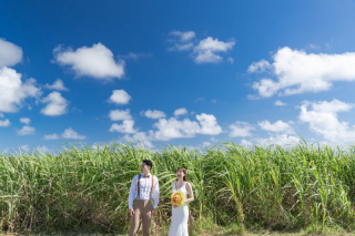 NoLimit !フォトツアーで行けるロケ場所「サトウキビ畑」