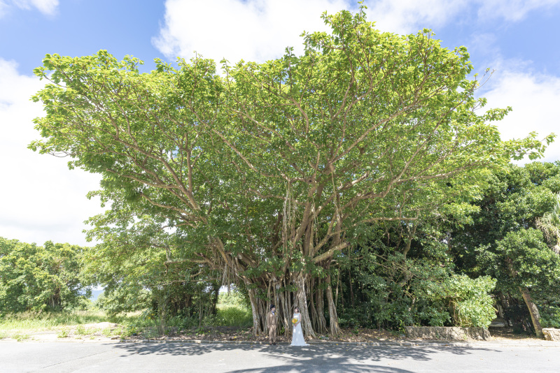 トリプルNoLimit!フォトツアーでは、ヘアチェンジも無制限にできる!