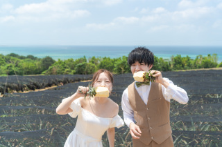 いよいよ始まったパイナップル収穫！石垣島体感フォトウェディングツアー！