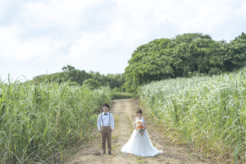 圧倒的なコストパフォーマンス。 ロケ地数もカット数も無制限でこの安さ。