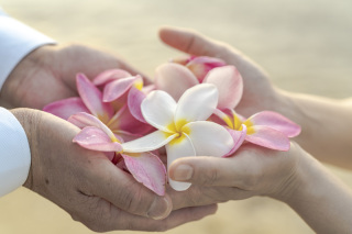 石垣島や宮古島のすべてを網羅したスペシャリスト「エバンジェリスト」とは?