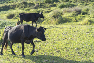 いよいよ2024年もあと1ヶ月！あっという間ですね。来春のご予約も入り始めてます