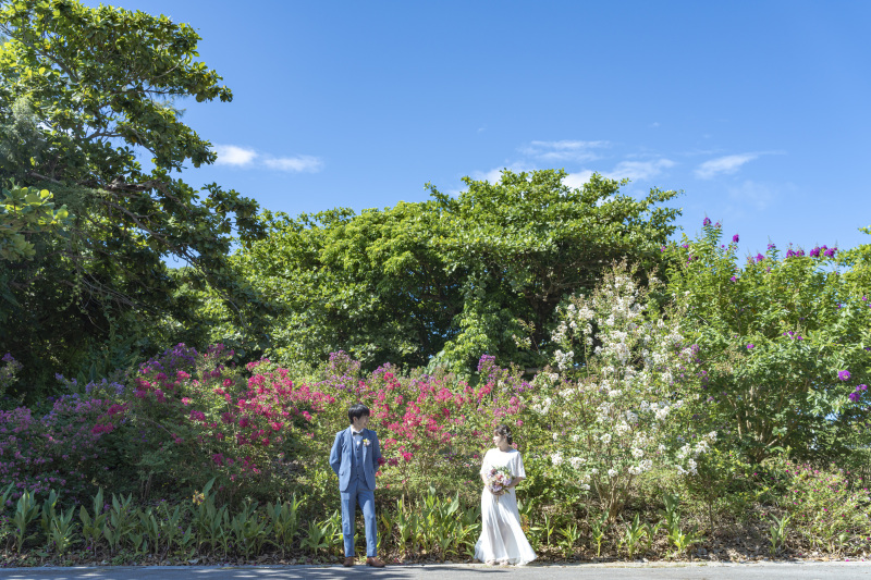 絶景の観光ツアーしながら、休憩にフルーツジュース！無制限だからできるツアー！