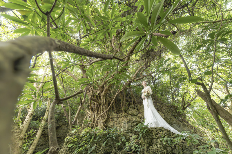 NoLimitフォトツアーには、この「エバンジェリスト」しか対応ができません。