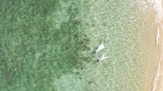 全身ずぶ濡れどこまで入ってもOK!衣装のまま海に入れるツアー!「イン・ザ・シー」