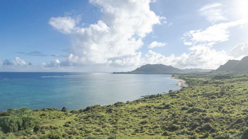 BlueSodaは体験。楽しい体験の様子を確認して見てください!