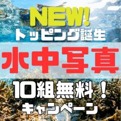 新オプションキャンペーン！限定１０組。水中写真を無料で撮影します！