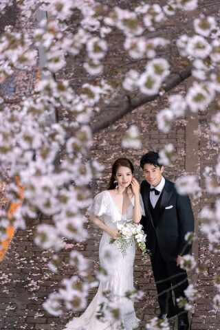 日本人が桜を愛するワケ