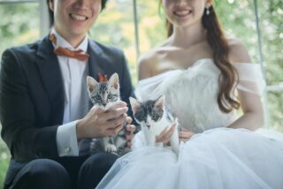 カップルレポート更新しました!かわいい愛猫ちゃんとの撮影ぜひご覧ください