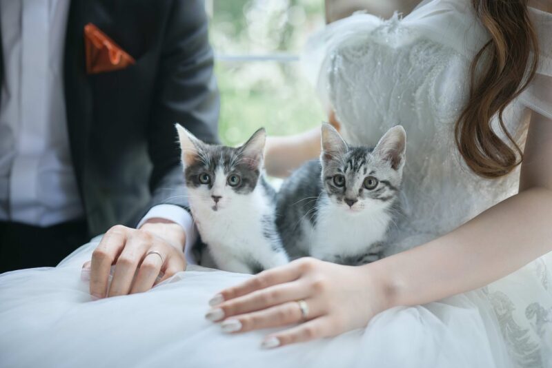 カップルレポート更新しました!かわいい愛猫ちゃんとの撮影ぜひご覧ください