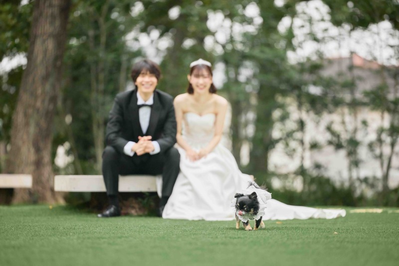 ペットと一緒に撮影OK◎大切なペットとの3ショットも残しませんか？