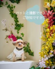 ペットと撮影できます!