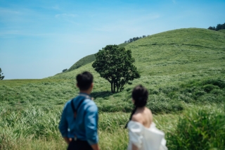 夏撮影限定のドレスプレゼントプランが出ました！