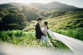 新緑の季節がやってきました♪