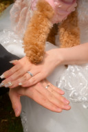 愛犬との撮影も是非ご相談ください！