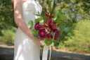 Anthurium,Peony /Wine Red