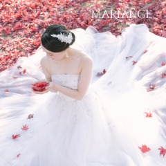 秋の紅葉と共に