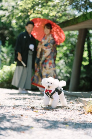 ペットとの撮影も大歓迎☺︎