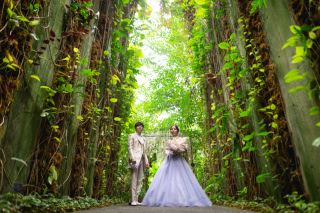 迫力がありお衣裳が映える1枚