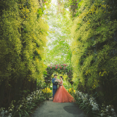 ～　写真に吸い込まれる1枚　～