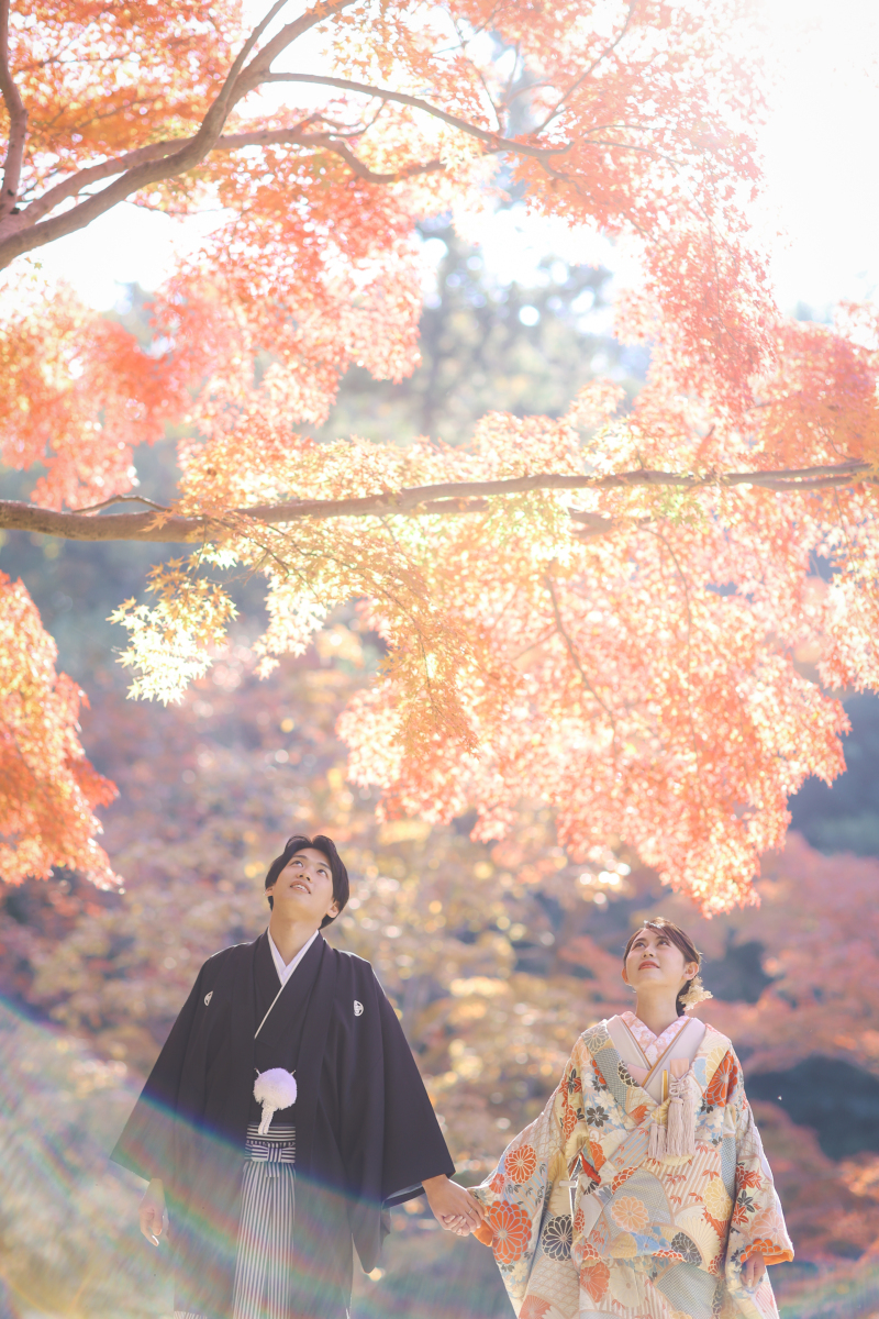紅葉シーズンが近づいてきました!