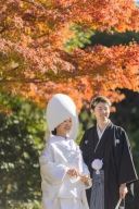 12月前撮りなら白鳥庭園!12月15日ご案内可能◎