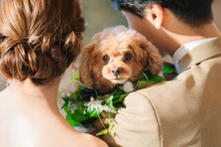 ワンちゃんネコちゃん大歓迎！