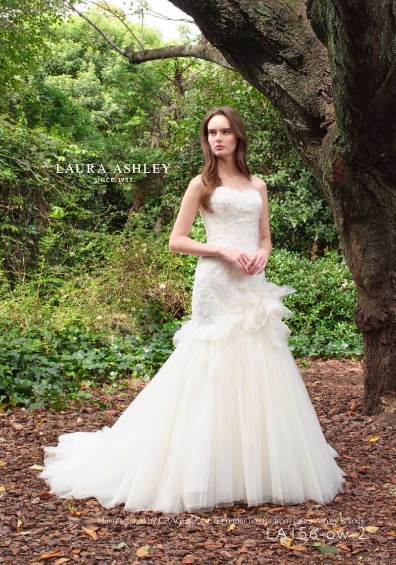 ＼ 新作ドレスが入荷しました ／