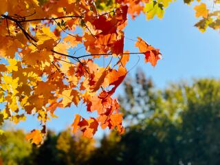 まだ間に合う!紅葉ロケーション!
