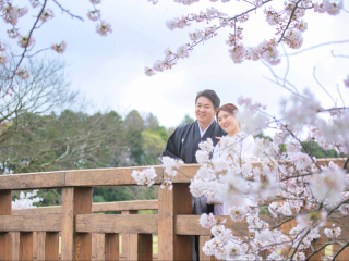 桜ロケご予約受付中♪