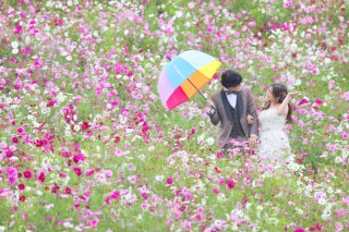 国営ひたち海浜公園でコスモス&エトセトラロケ♪