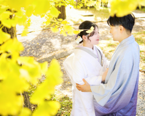 水戸歴史館のイチョウが綺麗でした♪