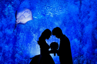 Aquarium★Silhouette　part①