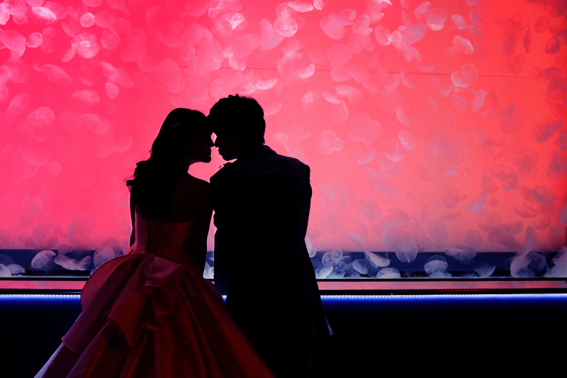 Aquarium★Silhouette　part②