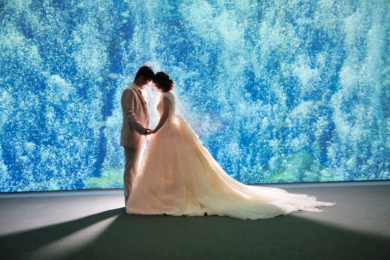 大水槽のバブルオプションやってみた♪.。o○