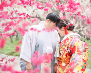 梅ロケに行ってきました！