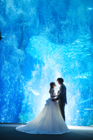 水族館好きに大人気♪水族館ロケ