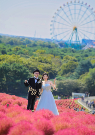 国営ひたち海浜公園・コキアが見頃ですね!