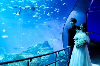 お魚たちと一緒に♡