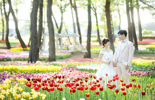 チューリップもキレイです♪