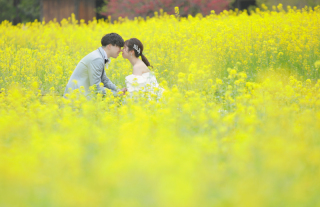 菜の花の中で♪