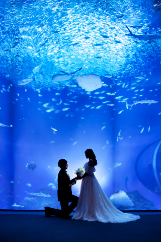 圧巻の大水槽!!! 水族館編②