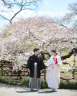 和装桜ロケ♪