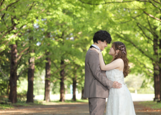 メタセコイア並木道♡