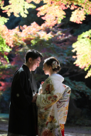 そろそろ紅葉ですね！・紅葉谷ロケ